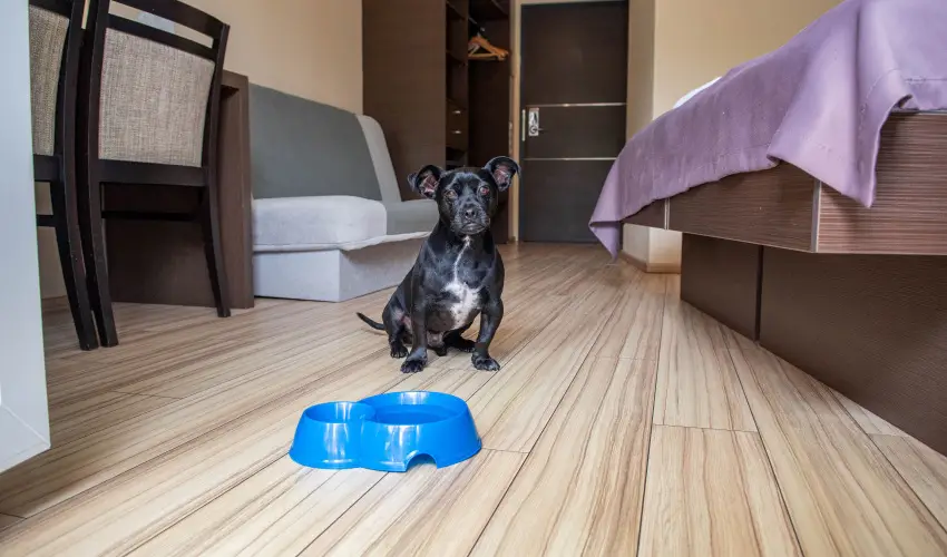 CE Plaza Hotel Sifok - VALENTIN HTVGE (min. 2 j)