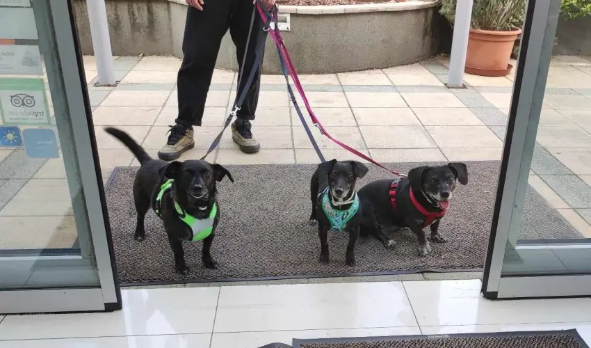 CE Plaza Hotel Sifok - VALENTIN HTVGE (min. 2 j)