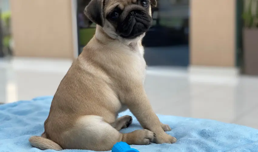 CE Plaza Hotel Sifok - VALENTIN HTVGE (min. 2 j)