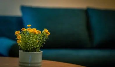 Eleven Business & Sport Hotel J�sz�roksz�ll�s