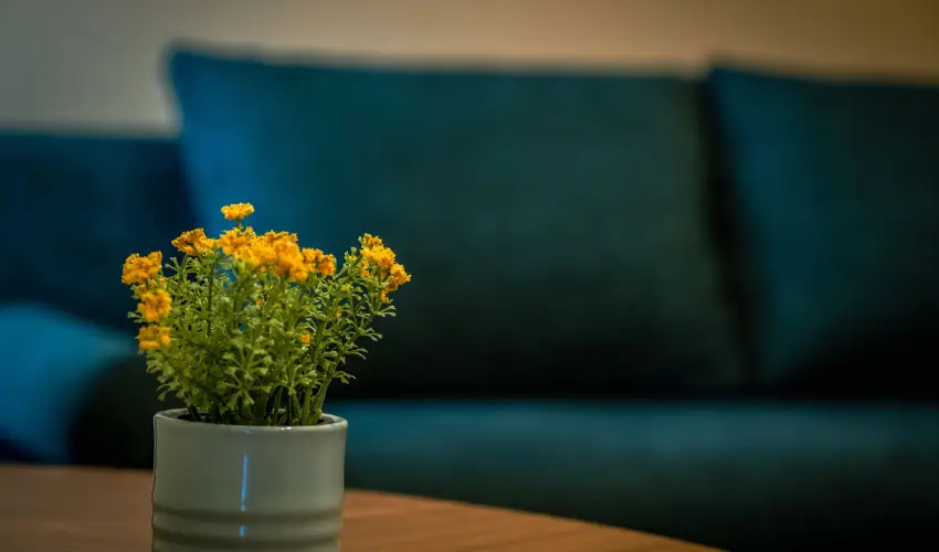 Eleven Business & Sport Hotel J�sz�roksz�ll�s - Valentin napi akci� reggelis ell�t�ssal (1 �jt�l)