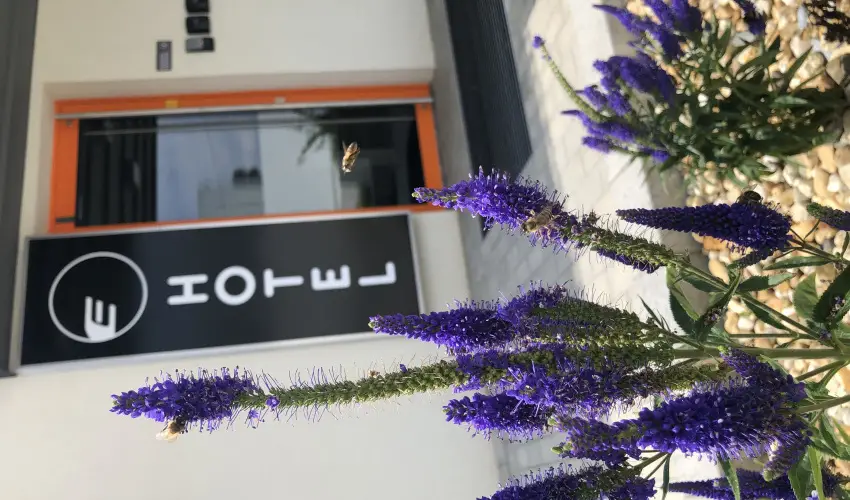 Eleven Business & Sport Hotel J�sz�roksz�ll�s - Valentin napi akci� reggelis ell�t�ssal (1 �jt�l)