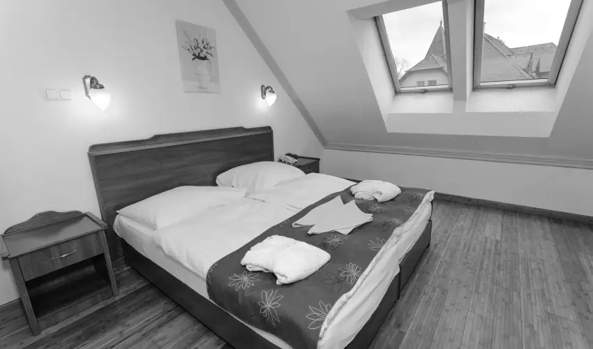Fried Kast�ly Hotel Simontornya - Valentin h�tv�ge (min. 2 �j)