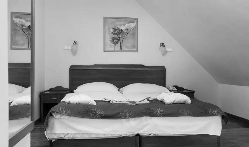 Fried Kast�ly Hotel Simontornya - Valentin h�tv�ge (min. 2 �j)