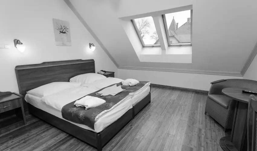 Fried Kast�ly Hotel Simontornya - Valentin h�tv�ge (min. 2 �j)
