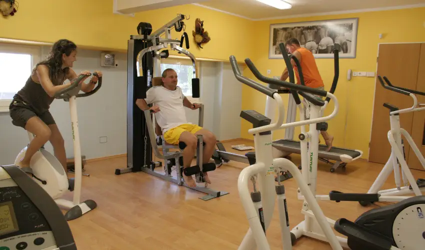 Hotel Panorma Balatongyrk Balatongyrk - Valentin nap (min. 2 j)