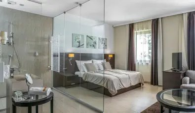 Hotel St�ci� Wellness & Konferencia Vecs�s