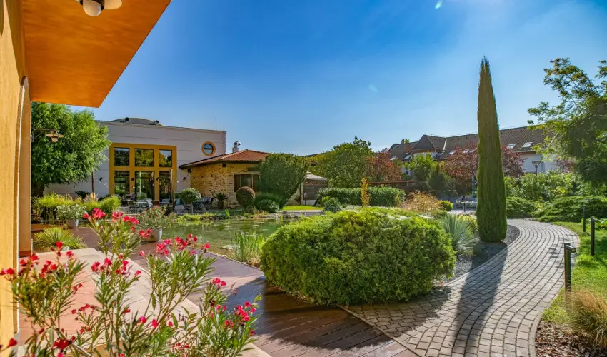 Hotel St�ci� Wellness & Konferencia Vecs�s - Szerelmes Valentin-nap (min. 2 �j)