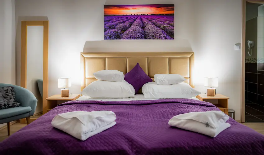 Land-Plan Hotel & Restaurant T�lt�stava - Valentin napi romantikus �jszaka (1 �j)