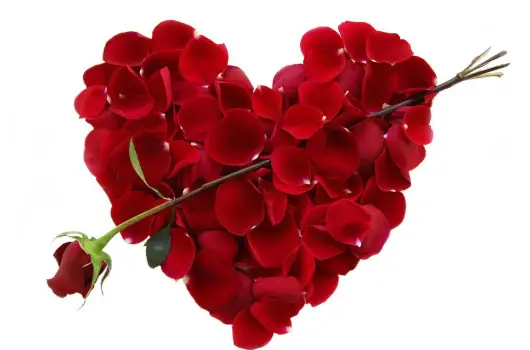 Major Panzi� & �tterem - Valentin napi csomagaj�nlat (min. 2 �j)