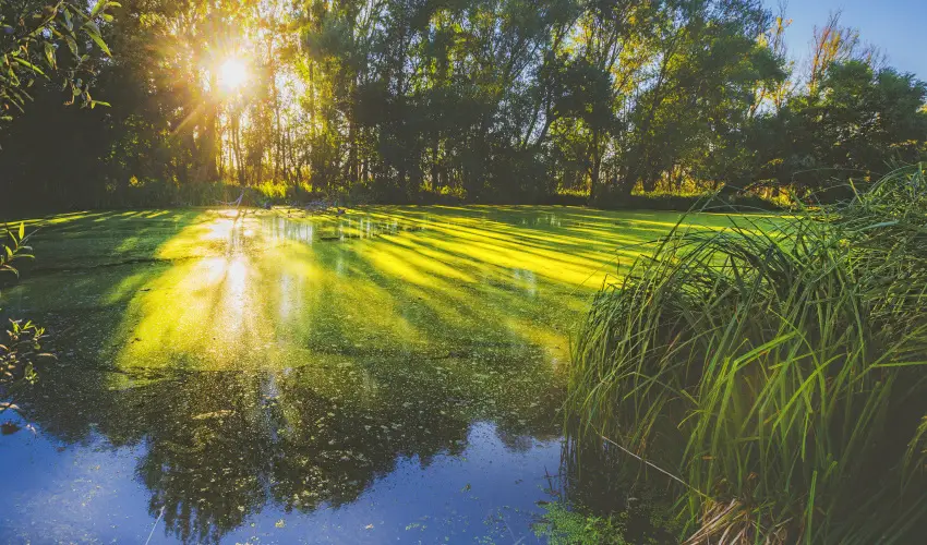 Park Inn by Radisson Zalakaros Resort & Spa Zalakaros - Szerelmes Park Inn pillanatok (1 �jt�l)