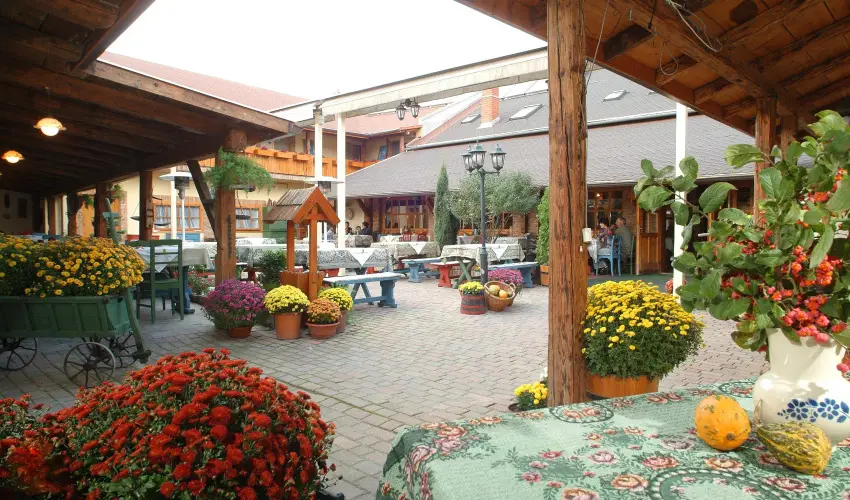 Sz�rcsa Hotel Sz�kesfeh�rv�r - Valentin szerelmes kikapcsol�d�s (min. 2 �j)