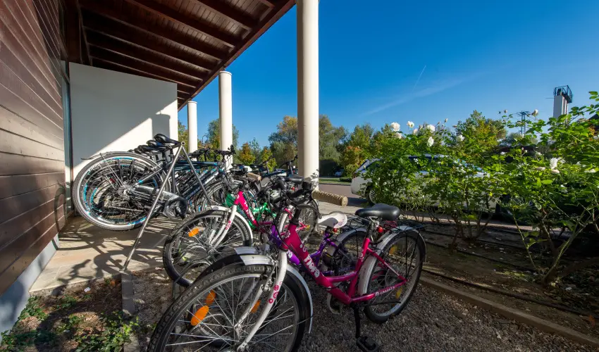 Tisza Balneum Hotel Tiszaf�red - Valentin h�tv�ge (min. 2 �j)