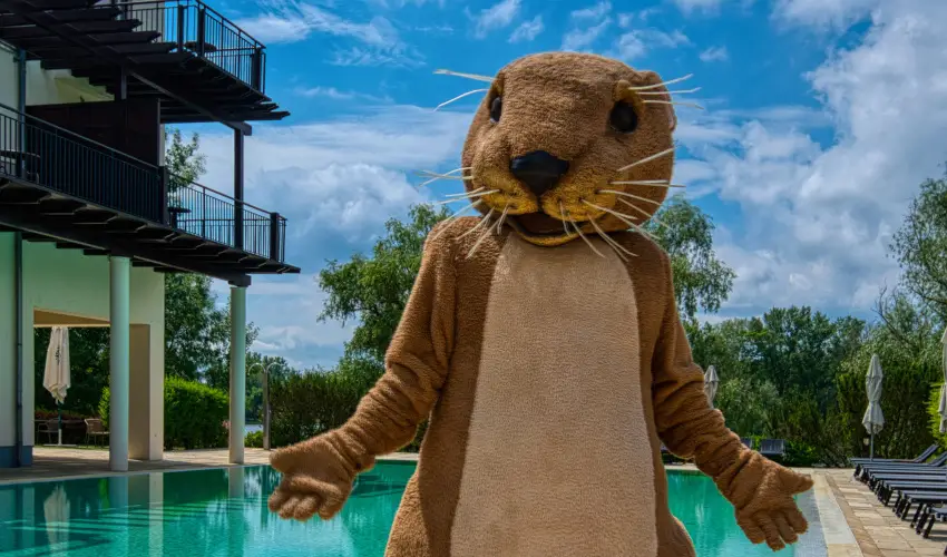 Tisza Balneum Hotel Tiszaf�red - Valentin h�tv�ge (min. 2 �j)