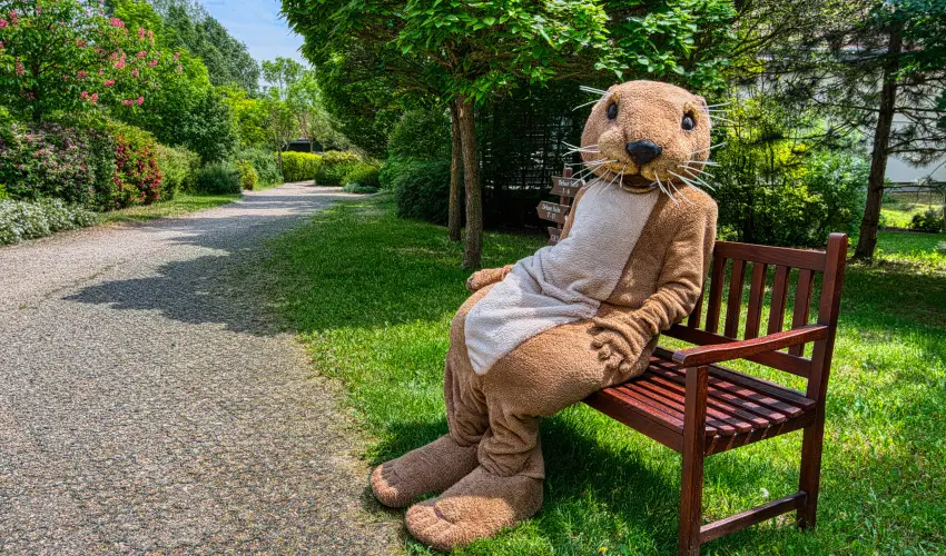 Tisza Balneum Hotel Tiszaf�red - Valentin h�tv�ge (min. 2 �j)