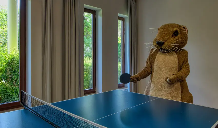 Tisza Balneum Hotel Tiszaf�red - Valentin h�tv�ge (min. 2 �j)