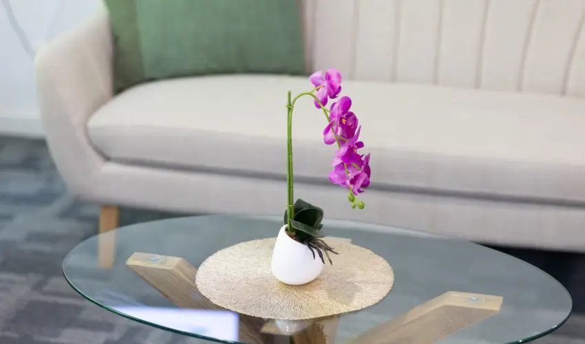 Zam�rdi TOK Zam�rdi - Valentin h�tv�ge (min. 2 �j)